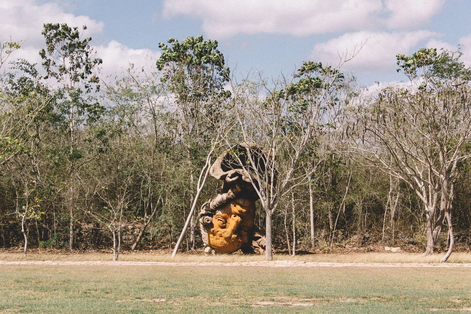 Bienal Yucatán and CDMX Art Week